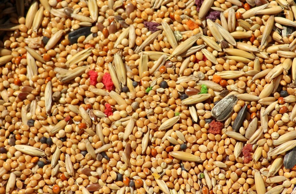Jharkhand Millet Mission Yojana